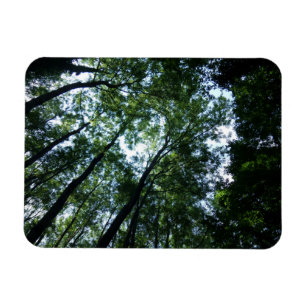 Jungle 3"x4" Magnet