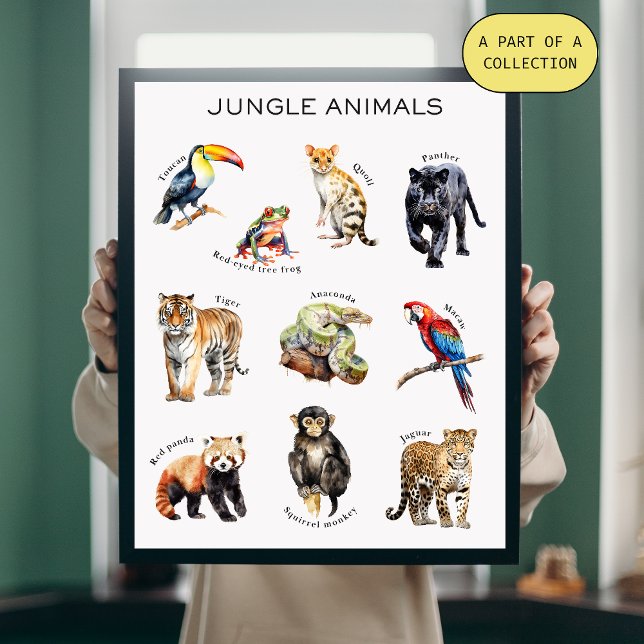 Jungle Animals Educational Poster (Creator Uploaded)