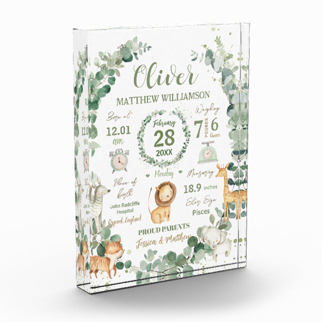 Jungle Animals Greenery Baby Birth Print Stats   Photo Block (Left)