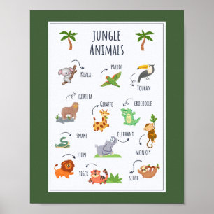Jungle Animals School Education Learning Poster
