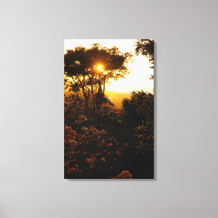Jungle at sunset, Bali, Indonesia Canvas Print