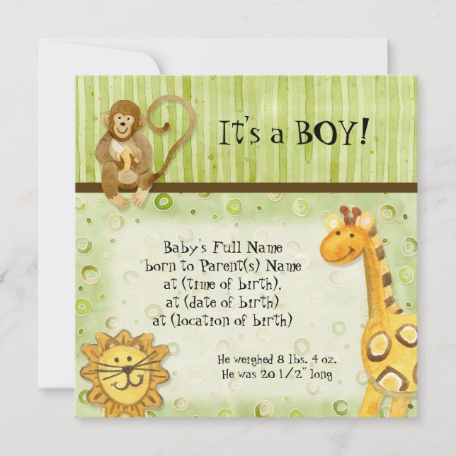 Jungle Babies, Boy Birth Announcement (Front)