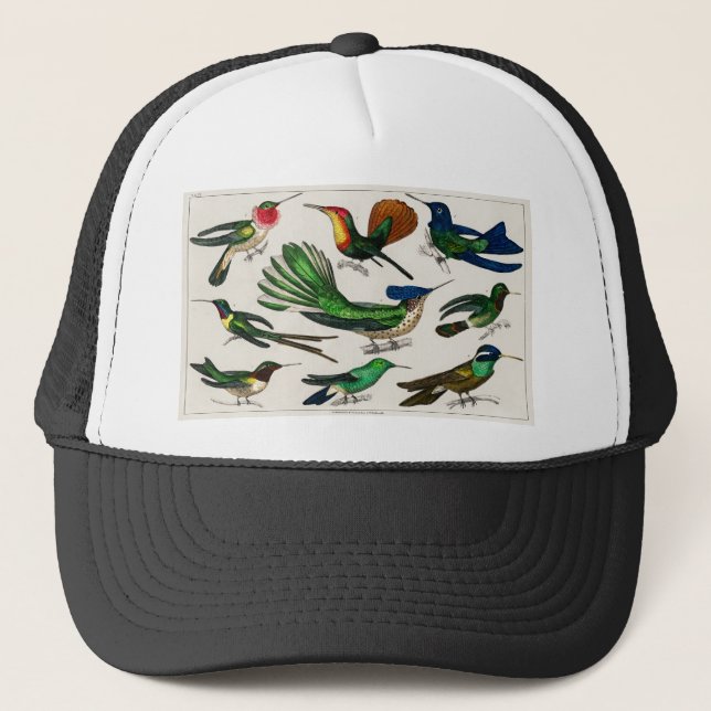 Jungle Birds for Kids Holiday Birthday Gifts Trucker Hat (Front)