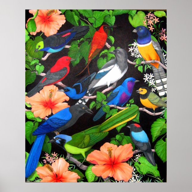 Jungle Birds of Central America Poster (Front)