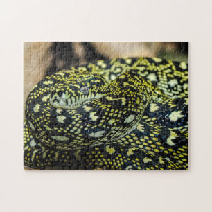 Jungle Carpet Python Snake Jigsaw Puzzle