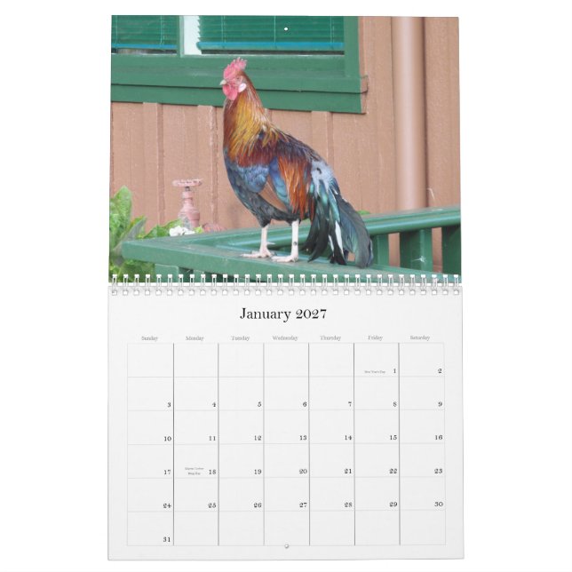 Jungle Chickens of Kauai 2010 Calendar (Jan 2027)
