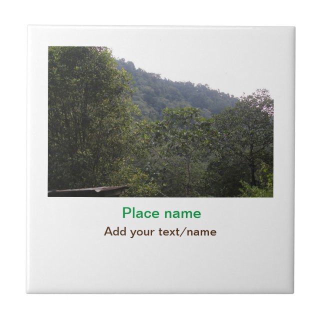 Jungle forest trees moutain travel add place name  tile (Front)