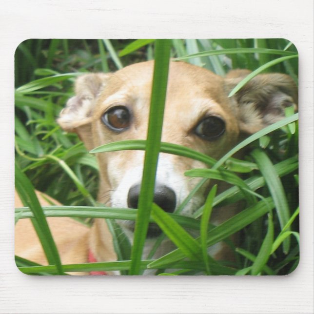 Jungle Iggy Mouse Mat (Front)