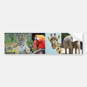 Jungle Jewels Bumper Sticker