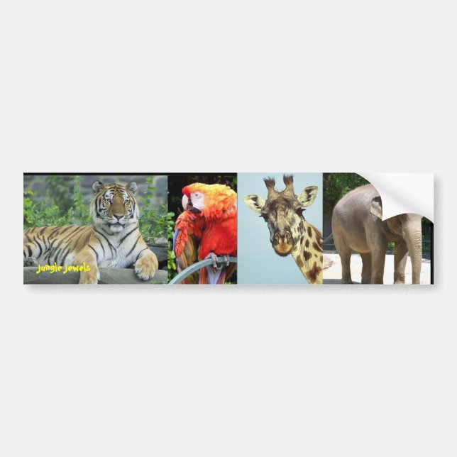 Jungle Jewels Bumper Sticker (Front)