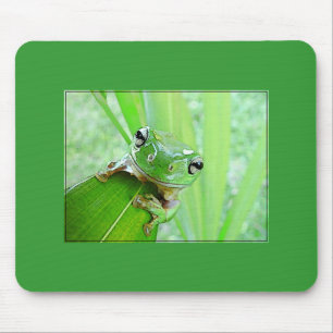 Jungle Jewels Mouse Mat