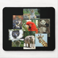 Jungle Jewels Mousepad