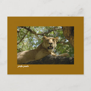 Jungle Jewels Postcard