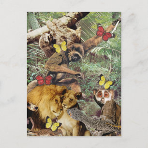 Jungle Jive Postcard