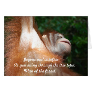 Jungle Joy - Orangutan Tribute Wildlife Haiku
