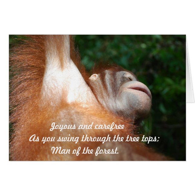 Jungle Joy -  Orangutan Tribute Wildlife Haiku (Front Horizontal)