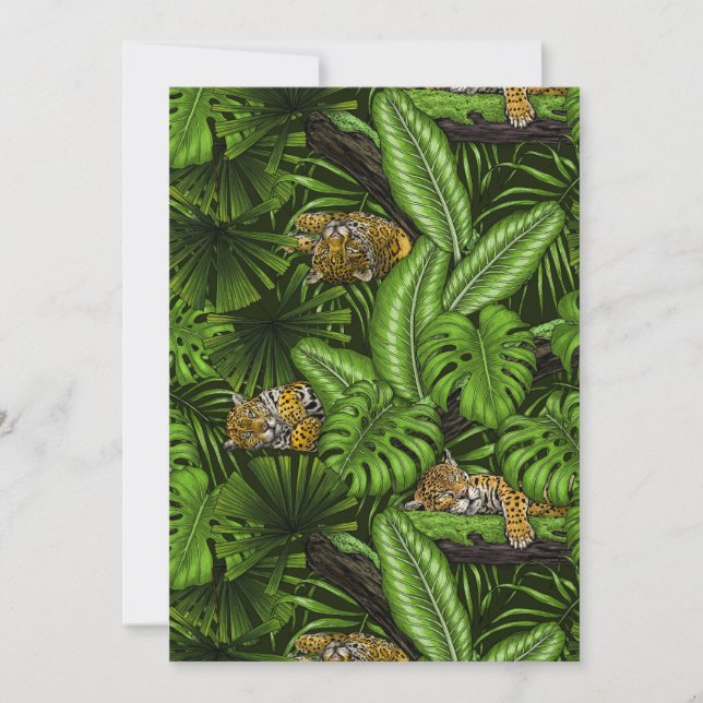 Jungle kitties (Front)