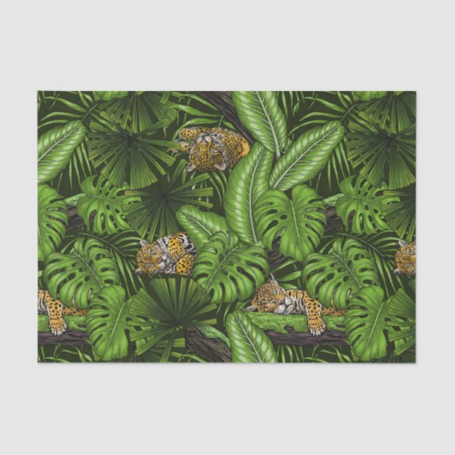 Jungle kitties tissue paper (Front)