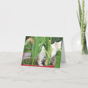 JUNGLE KITTY-HAPPY 30th SIS Card