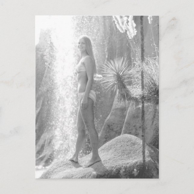 Jungle Land in Panama City Bikini girl photo Postcard (Front)