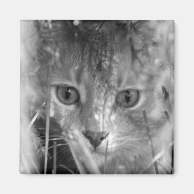 Jungle Legend B&W Magnet (Front)