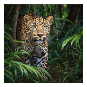 Jungle Leopard Photo Print