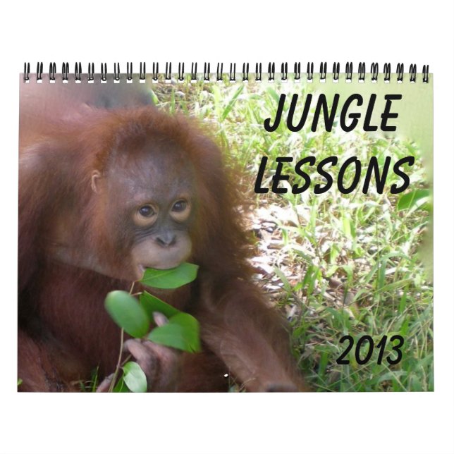 Jungle Lessons Wildlife Orangutans Calendar (Cover)