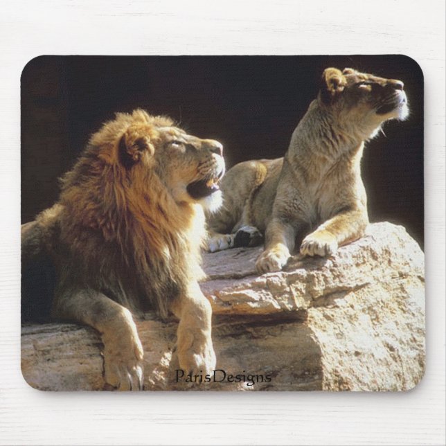 Jungle Lions Kenya Mouse Mat (Front)