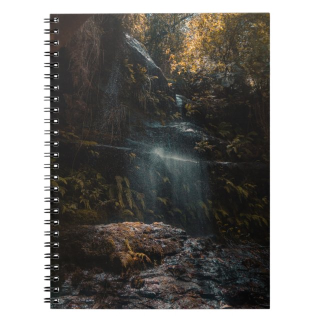 Jungle Notebook (Front)