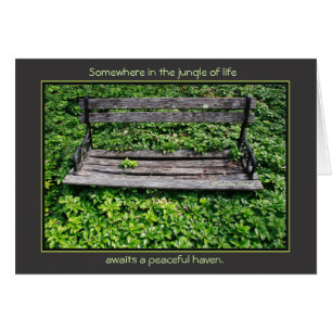 Jungle of Life: find your haven