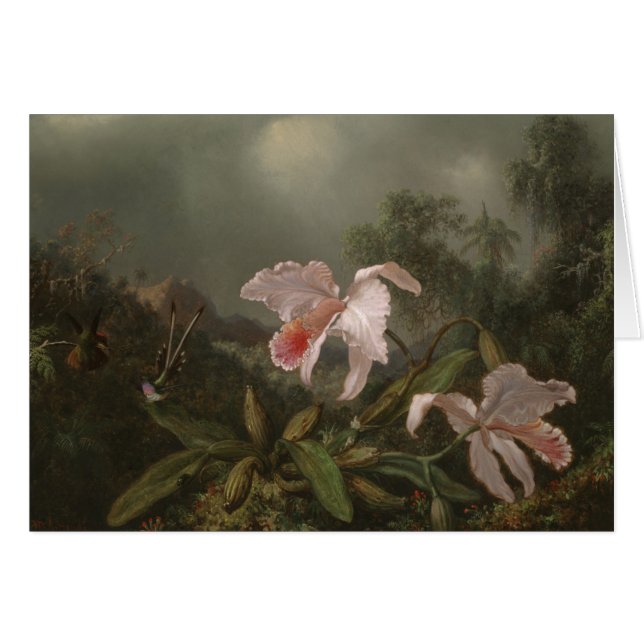 Jungle Orchids and Hummingbirds (Front Horizontal)