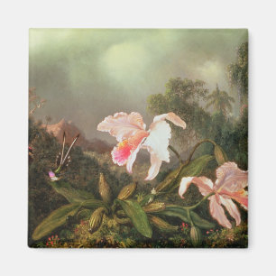 Jungle orchids and hummingbirds, 1872 magnet