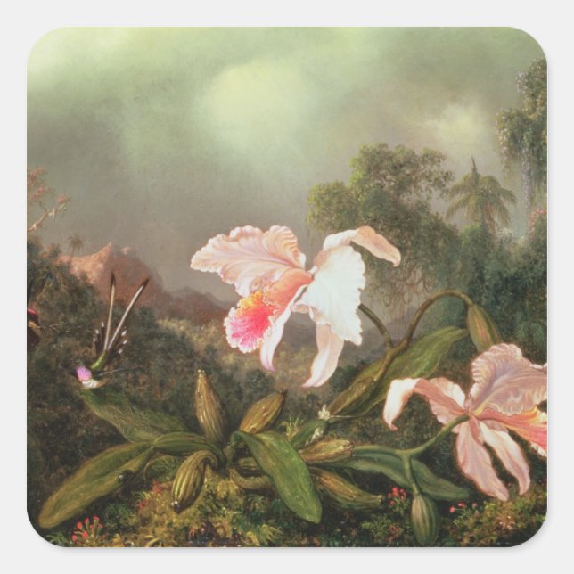 Jungle orchids and hummingbirds, 1872 square sticker (Front)