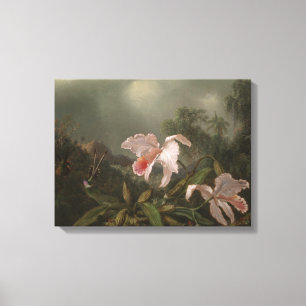 Jungle Orchids and Hummingbirds Canvas Print