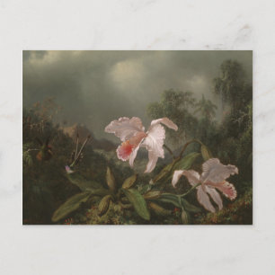 Jungle Orchids and Hummingbirds Postcard
