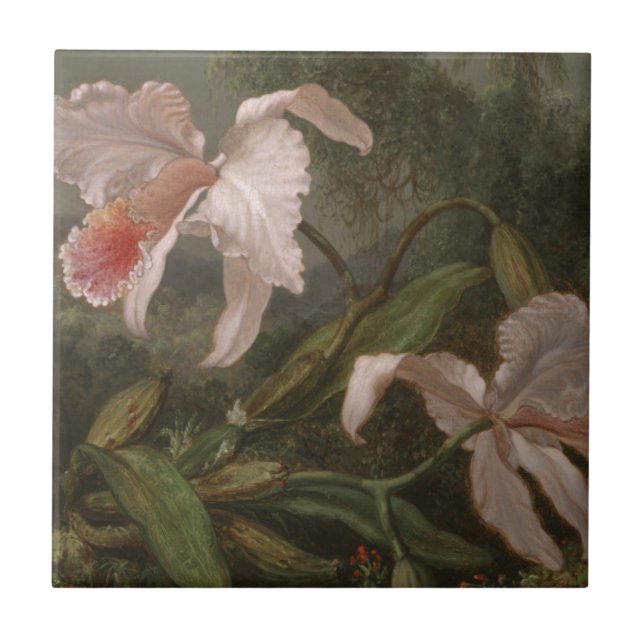 Jungle Orchids and Hummingbirds Tile (Front)