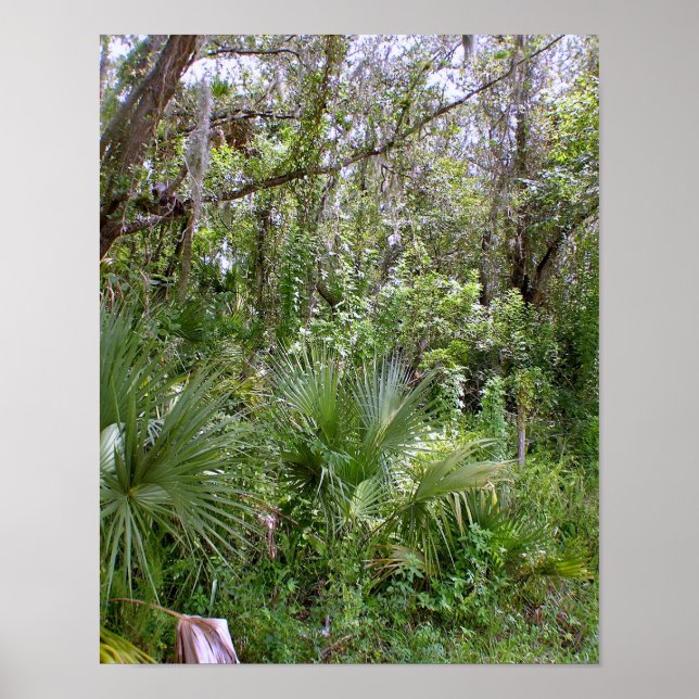 Jungle Poster (Front)