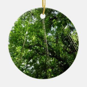 Jungle Ropes Rainforest Photography Ceramic Tree Decoration