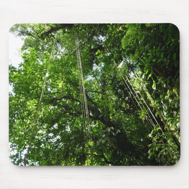 Jungle Ropes Rainforest Photography Mouse Mat (Front)