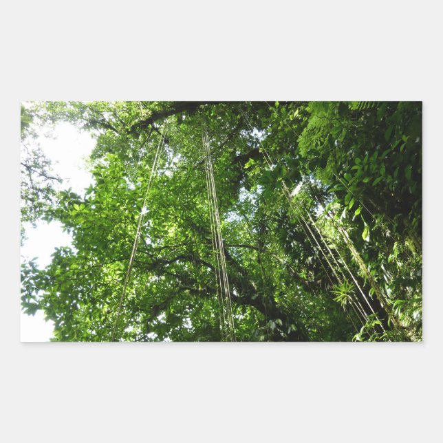 Jungle Ropes Rainforest Photography Rectangular Sticker (Front)