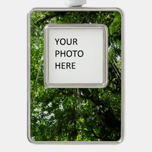 Jungle Ropes Rainforest Photography Silver Plated Framed Ornament