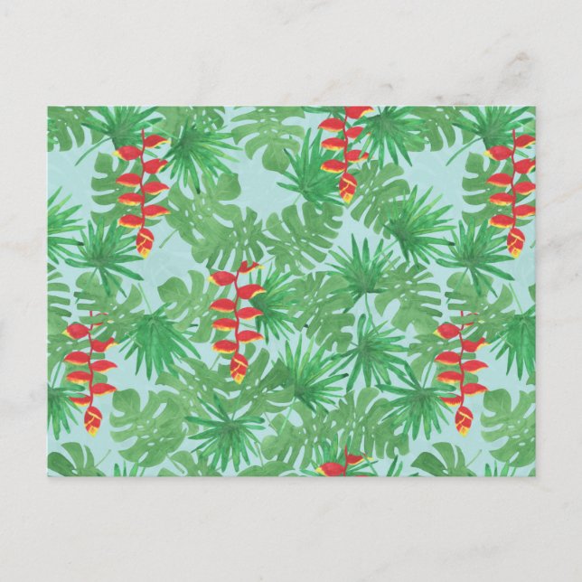 Jungle Sky Postcard (Front)