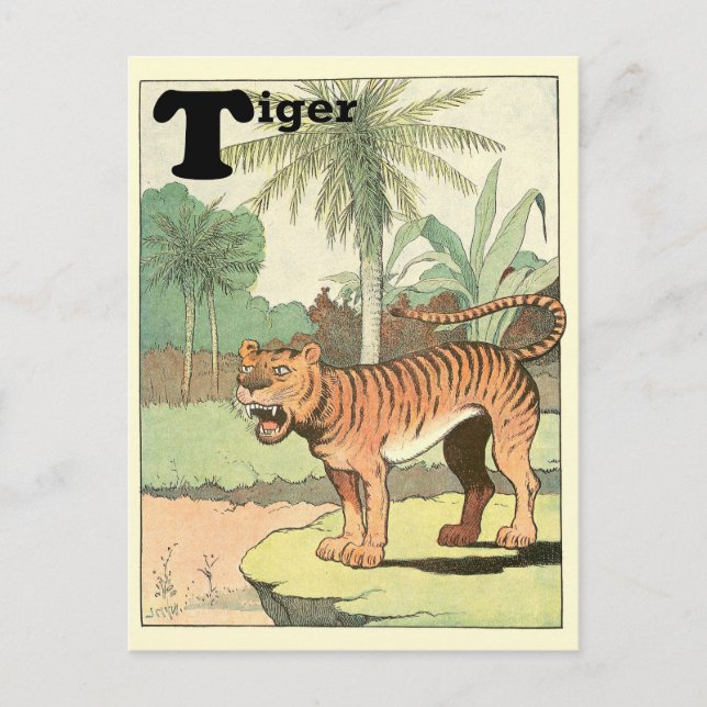 Jungle Tiger Animal Alphabet Postcard (Front)