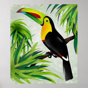 Jungle Toucan Poster
