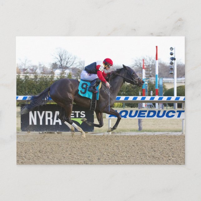 Junior Alvarado with Flat Calm Postcard (Front)