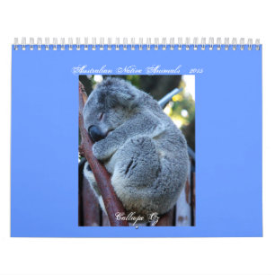 Junior Koala Calendar