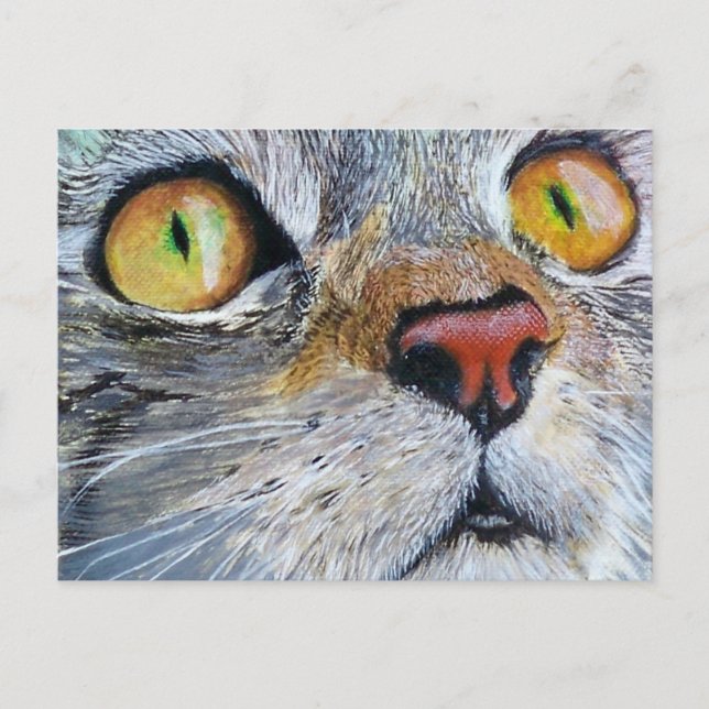 Junior the Cat Postcard (Front)