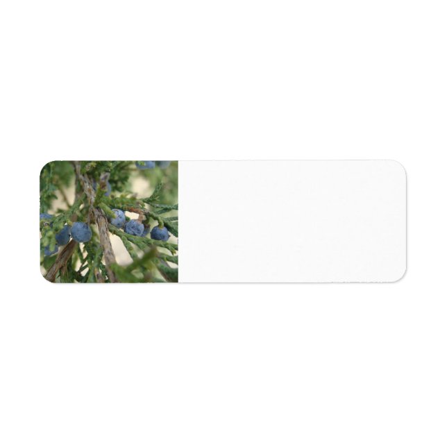 Juniper Berry Address Labels (Front)