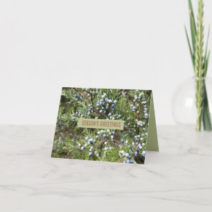 Juniper berry holiday greeting card