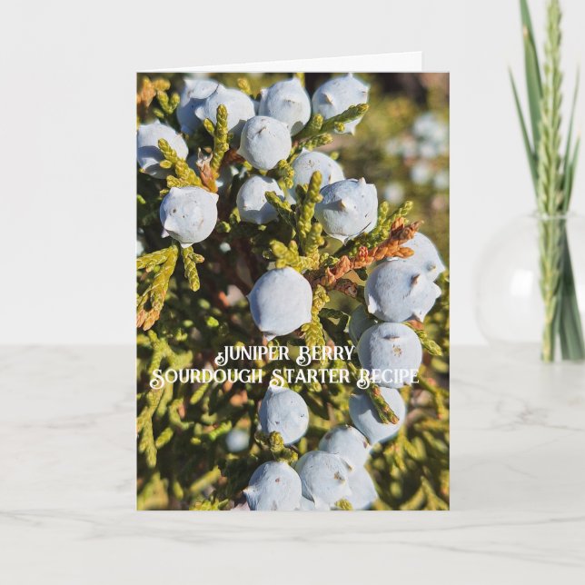  Juniper Berry Sourdough Starter Recipe Card (Front)